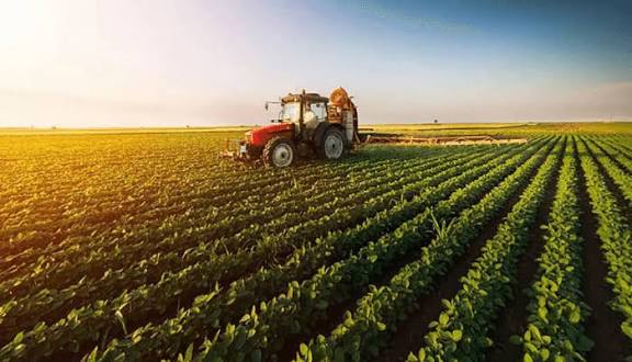 Borno showcases agricultural strength as key to Nigeria’s industrial future